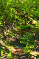 Moscow. City bustle. Nature.
