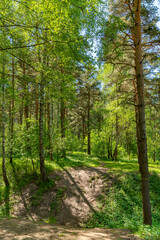 Moscow. City bustle. Nature.