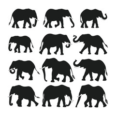 Fototapeta premium A set of elephant silhouette vector