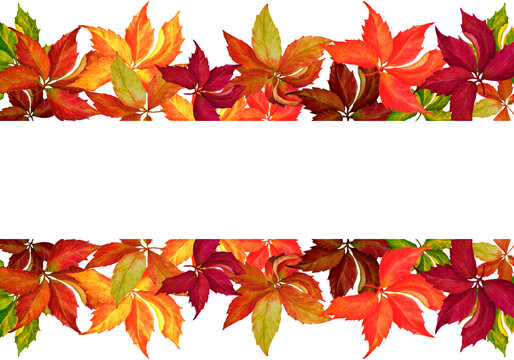 Watercolor autumn leaves frame border hend drawn.  White transparent background