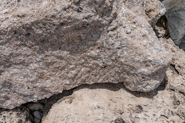 Coral fossils / reef deposits / Limestone at Ko Olina Beach Park, Leeward Coast of Oahu, Honolulu, Hawaii geology.  