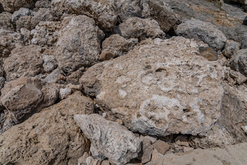 Coral fossils / reef deposits / Limestone at Ko Olina Beach Park, Leeward Coast of Oahu, Honolulu, Hawaii geology.  