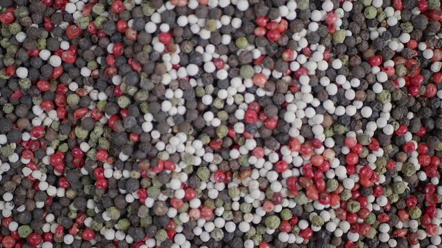 Closeup of hand pick Mixed peppercorns 