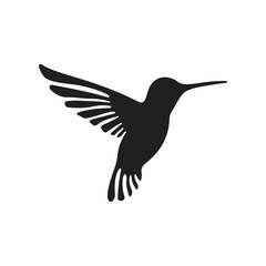 hummingbird vector silhouette design on white background 