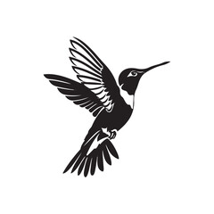 hummingbird vector silhouette design on white background 