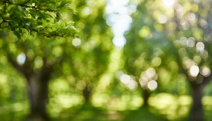 Beautiful texture of defocused green bokeh background, showcasing blurred treetops in a garden.