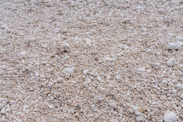 Coral fossils / reef deposits / Limestone at Ko Olina Beach Park, Leeward Coast of Oahu, Honolulu, Hawaii geology.