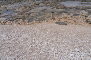 Beachrock with Coral fossils / reef deposits / Limestone at Ko Olina Beach Park, Leeward Coast of...