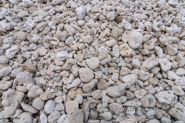 Coral fossils / reef deposits / Limestone at Ko Olina Beach Park, Leeward Coast of Oahu, Honolulu,...
