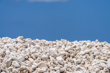 Coral fossils / reef deposits / Limestone at Ko Olina Beach Park, Leeward Coast of Oahu, Honolulu, Hawaii geology.