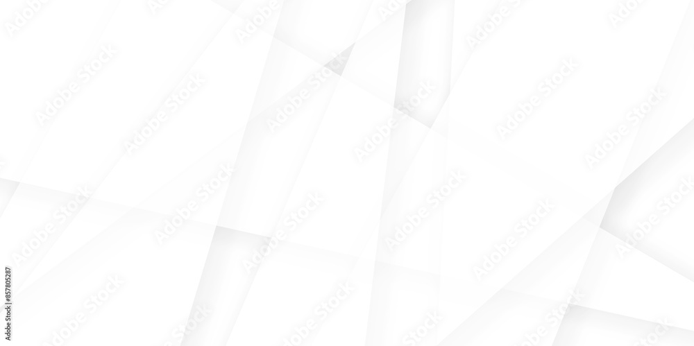 Poster abstract white and gray line background design. abstract white and grey on light silver background m