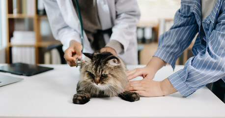 African Veterinary for treating sick cats, Maintain animal health Concept, animal hospital.