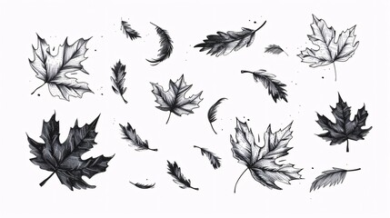 Obraz premium Fall foliage depicted in a whimsical hand-drawn design, with swirling gusts of chilly air and a simple maple leaf outline for use in printing and designing.