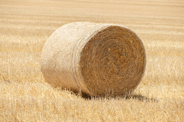 single hay bale in the field on a sunny day