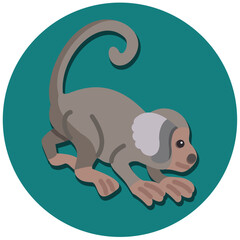 Marmoset Icon