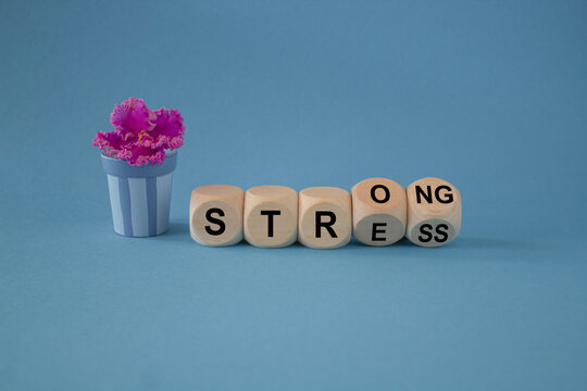 Strong stress symbol. Turned wooden cubes with words 'strong stress'. Beautiful blue background, pot with flower. Business and strong stress concept.