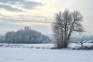 Winter bei Urberach