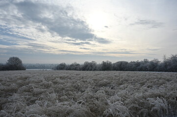 Winter bei Urberach