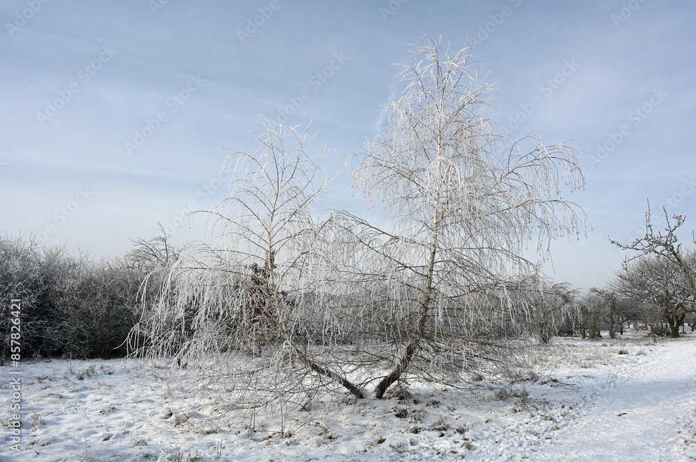 Poster winter bei urberach