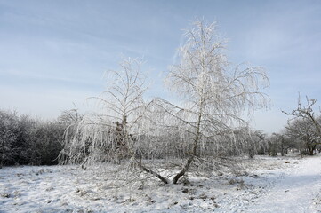 Winter bei Urberach