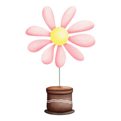 pink flower in pot