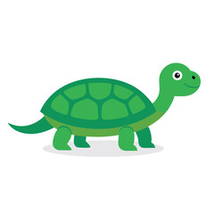 Tortoise Animal isolated flat vector illustration on white background