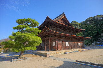 Fototapeta premium 安国寺