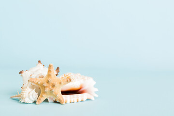 Summer time concept with sea shells or starfish on a table background with copy space for text