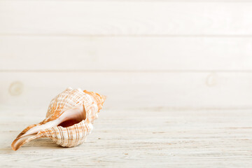 Summer time concept with sea shells or starfish on a table background with copy space for text