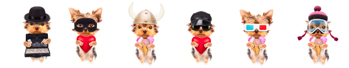 Adorable pups in different costumes like teacher, skier, gentlemen and worker