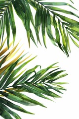 Fototapeta premium plant
