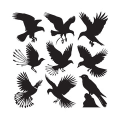 Obraz premium Silhouettes of wild birds flying