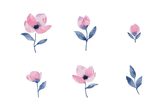 Vector watercolour ponk flowers clip art. Floral collection 
