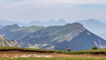 Vercors landscape seen from the Combeau valley, France