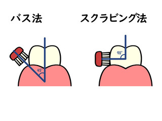 歯の磨き方 バス法とスクラビング法のイラスト素材