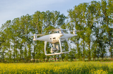 drone flying low over an rapeseed field at sunset
