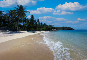 Banner travel with summertime with palm tree and Tropical beach with blue of seashore background