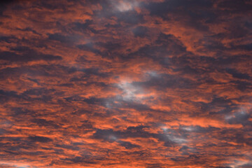 Orange Clouds in the sunset