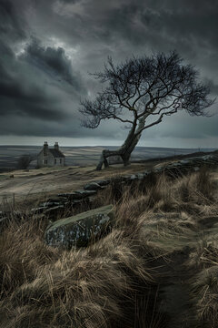 Grim Solitude: A Visual Representation of Emily Bronte's Wuthering Heights