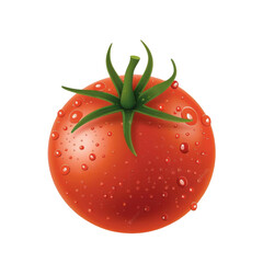 A single, ripe red tomato with water droplets on its skin. The tomato is isolated on a black background.