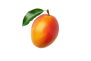 A single, ripe mango with a green leaf, isolated on a black background.