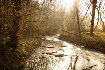 small river in the forest in early spring at sunset