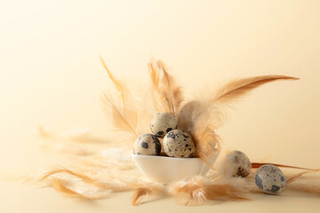 Quail eggs and feathers on a yellow background.