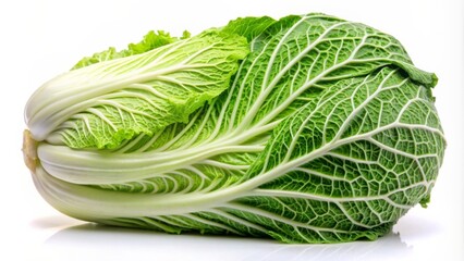 Chinese cabbage on white background