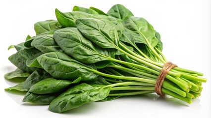 Bunch of spinach on white background