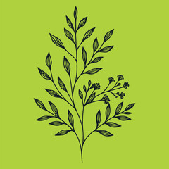 Fototapeta premium single continuous line flowers, leaves. Art floral elements.