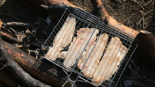 White pollock fish with spices grilling on metal grid on bonfire in nature camping. Cooking preparing frying fresh healthy food. Frying fish on hot coals. Cook cuisine on picnic, bbq barbeque.