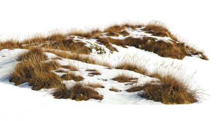 Dry Grass with Snow Patches