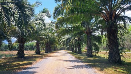 Obraz premium RemasterDirector_22abe5b5f