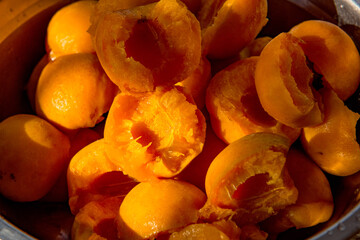 At home, break open the fresh apricots to prepare the resulting sauce for processing